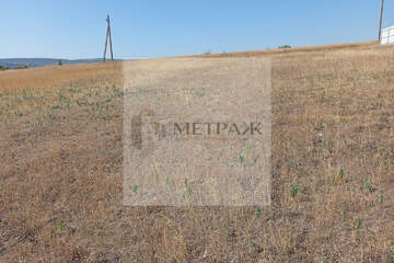 Ведение садоводства, 5 сот.