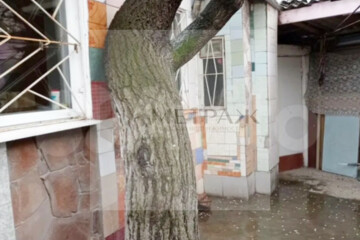 Дом, 46 м², 1 эт.