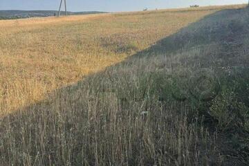 Ведение садоводства, 5 сот.