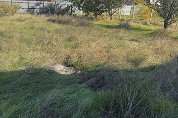 Ведение садоводства, 6,3 сот.