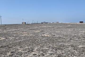 Ведение садоводства, 6 сот.