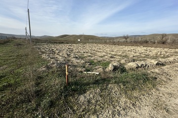 Ведение садоводства, 6 сот.